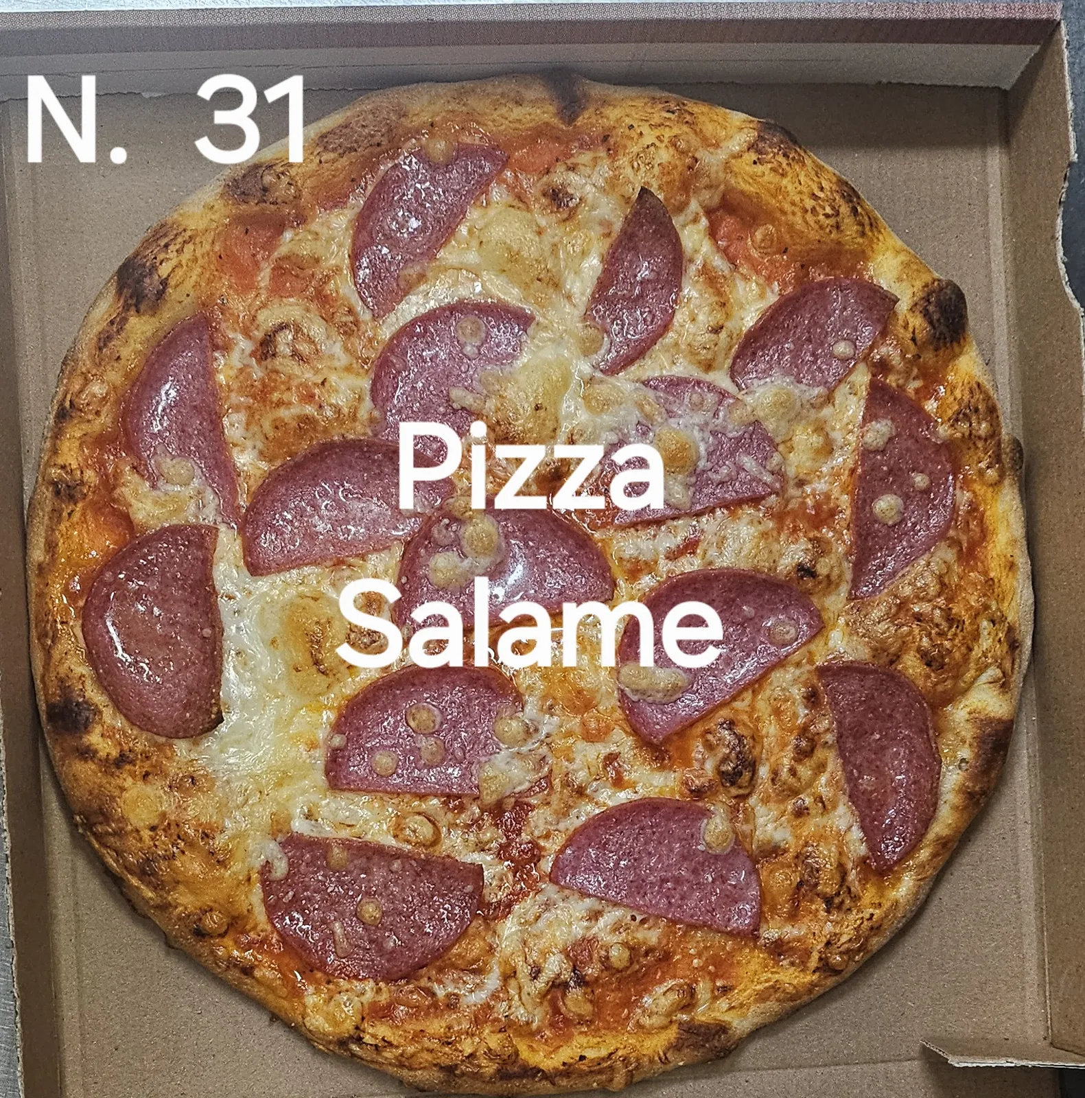 Nr. 31 Pizza Salami